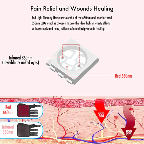 2PCs Red Infrared Light Therapy for Horse Leg