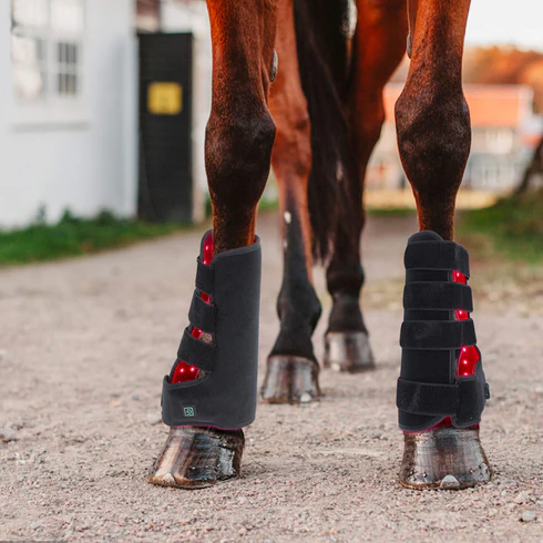 2PCs Red Infrared Light Therapy for Horse Leg