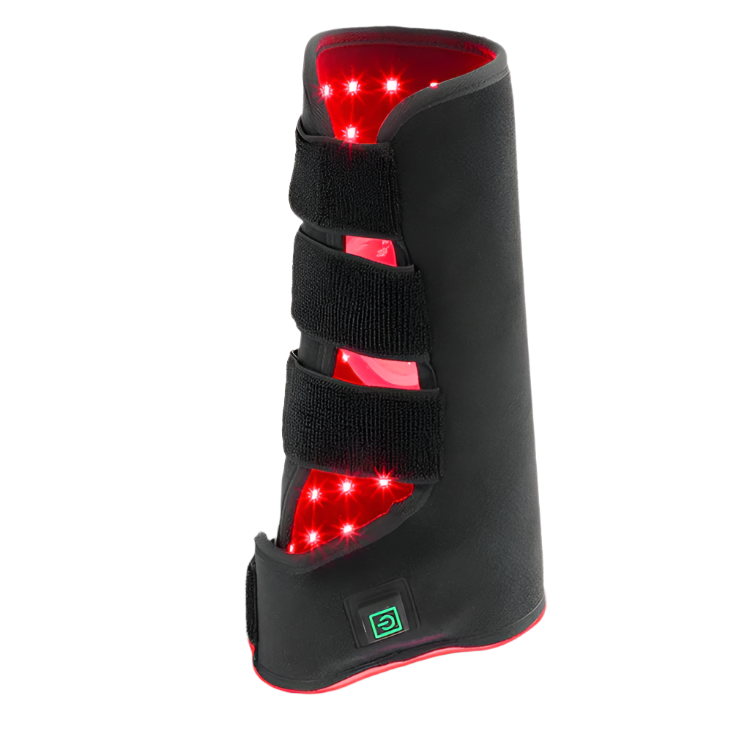 2PCs Red Infrared Light Therapy for Horse Leg